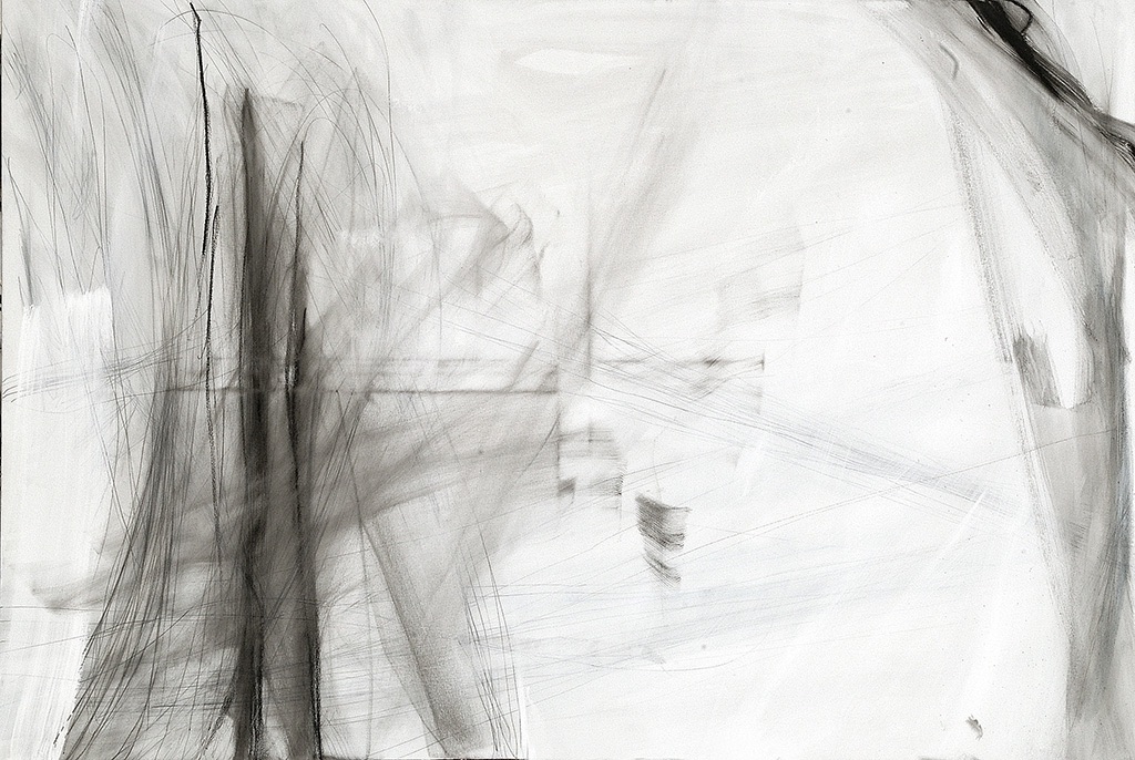 no title, 2010   Oil and graphite on  canvas
105 x 155  cm