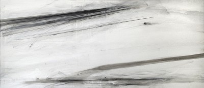 Further, 2013   Oil on canvas
85 x 195 cm