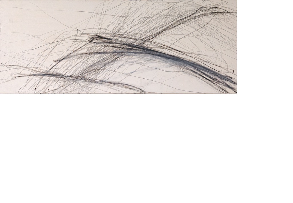Gefühlter Wind, 2000
Oilpastel and graphite on canvas
100 x 50 cm